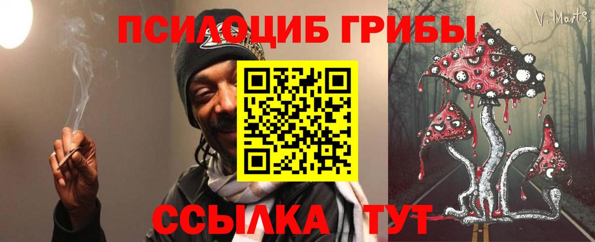 Псилоцибиновые грибы Psilocybe Орехово-Зуево
